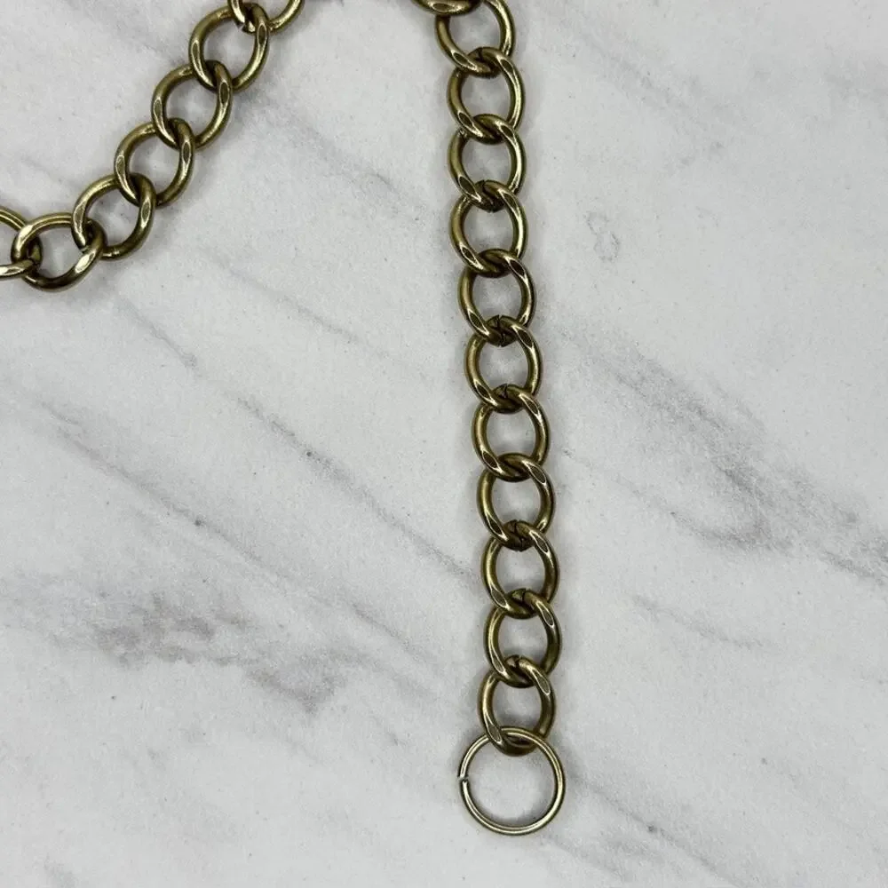 Vintage Gold Lion Head Greek Key Medallion Chain Link Belt Small/Medium (S/M) ✨